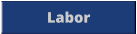 Labor