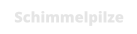Schimmelpilze